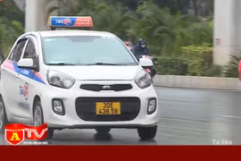 Hà Nội yêu cầu hãng xe công nghệ báo cáo định kỳ kết quả hoạt động