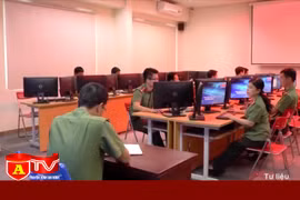 Thu hồi tên miền vi phạm pháp luật về an ninh mạng