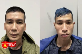 Cướp giật điện thoại của phụ nữ đi xe máy