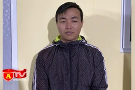 Tạm giữ hình sự lái xe gây tai nạn giao thông rồi bỏ trốn