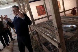 Bill Gates tặng 100.000 con gà cho nước nghèo