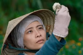 Việt Nam có 2 phim tranh giải chính thức "Liên hoan phim quốc tế Đông Nam Á 2023"