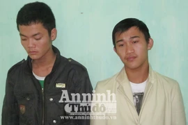 Trộm tiền bà chủ để “du xuân”