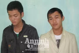 Trộm tiền bà chủ để “du xuân”