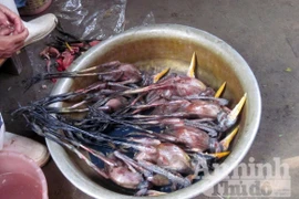 Xót lòng cảnh cả nghìn chim trời bị xẻ thịt mỗi ngày