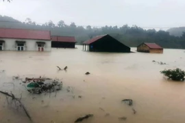 Theo dõi thông tin khẩn về tình hình mưa lũ từ Tổng cục Phòng chống thiên tai trên Zalo