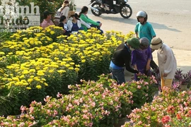 “Làng xanh” ven đô hối hả đón Tết