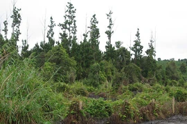 Bó tay nhìn thủy tùng biến mất?