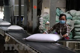 ‘Sự phục hồi của Việt Nam hậu COVID-19 rất đáng ngưỡng mộ’ 