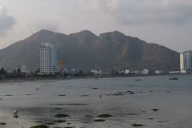 Cá nhái đâm trọng thương du khách Nga khi tắm biển ở Nha Trang