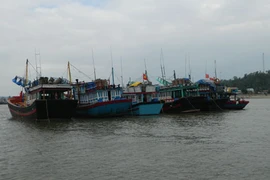 Quảng Ngãi: Một tàu cá bị tàu hàng tông chìm trên biển