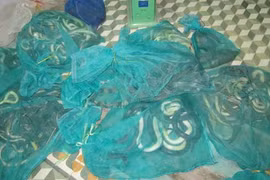 Bắt giữ 10 bao động vật hoang dã