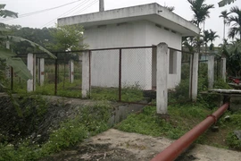 Trạm bơm "đắp chiếu", nông dân méo mặt khi trồng lúa chỉ thu được… cỏ!