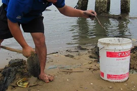 Thêm một ngư dân tử vong do lặn hải sâm