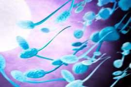 Chất diệt tinh binh