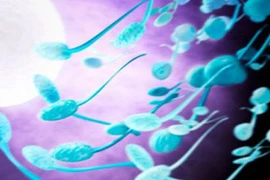 Chất diệt tinh binh