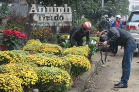 Ngắm chợ hoa Tết, thấy giá mà run