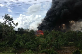 Nhà xưởng vùng ven TP. HCM bốc cháy dữ dội