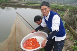 Đi tìm những bàn tay “nâng”…ông Táo chầu Trời