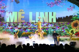 Rực rỡ đêm khai mạc Festival hoa Mê Linh 2024