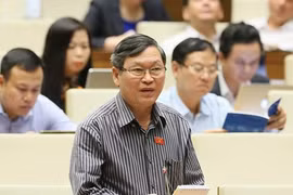 ĐBQH: "Chưa có quy định xử phạt hành chính hành vi xúc phạm Quốc kỳ"