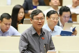 ĐBQH: "Chưa có quy định xử phạt hành chính hành vi xúc phạm Quốc kỳ"