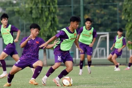 HLV Brazil chốt 23 tuyển thủ U16 Việt Nam đấu Trung Quốc, Nhật Bản