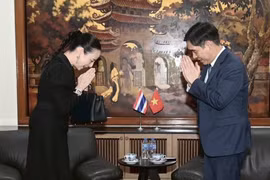 Madam Pang mong người dân Việt Nam "thông cảm và tha thứ"