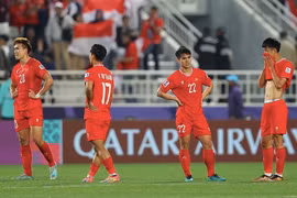 Tuyển Việt Nam gánh hệ luỵ từ tỉ lệ thua 71% của HLV Troussier