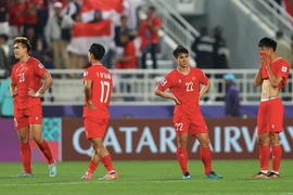 Tuyển Việt Nam gánh hệ luỵ từ tỉ lệ thua 71% của HLV Troussier