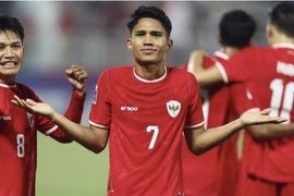 Thua trận, dân mạng Indonesia quay ra chỉ trích "gà nhà"