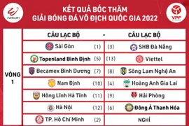 V-League khai mạc muộn, ngắt quãng 4 tháng phục vụ đội tuyển