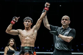 Nhiều ngôi sao muay Việt Nam và quốc tế phô diễn tài năng