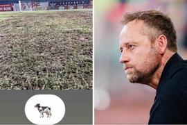 V-League 'nóng' chuyện... mặt cỏ