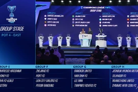 Nam Định FC chung bảng đại diện Thái Lan, Singapore...