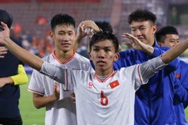 Bóng đá Việt năm Ất Tỵ: Chinh phục 2 vé World Cup