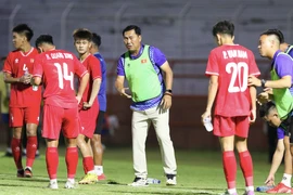 Các đội tuyển Việt Nam thua từ châu lục tới Đông Nam Á