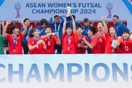 VFF thưởng lớn cho đội tuyển Việt Nam đầu tiên vô địch trong năm 2024