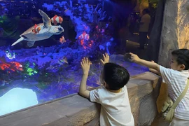 Mở cửa Thuỷ cung không nước đầu tiên tại Việt Nam