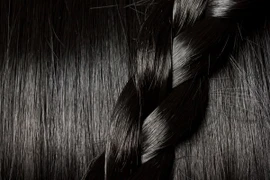 Dịch vụ lạ lùng… nuôi chấy trong tóc