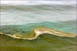 Giết người vừa cứu vợ mình khỏi chết đuối