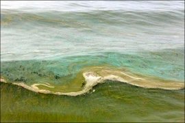 Giết người vừa cứu vợ mình khỏi chết đuối