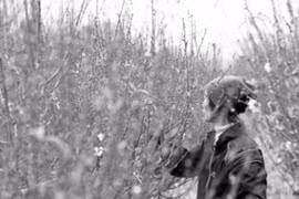 Muôn hoa khoe sắc