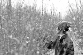 Muôn hoa khoe sắc