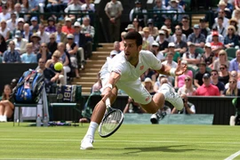 Djokovic khởi đầu ấn tượng tại Wimbledon 2016