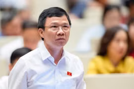 ĐBQH: Để xuất khẩu, quả vải Bắc Giang phải đưa vào TP. HCM chiếu xạ