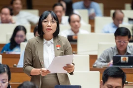 ĐBQH: Lấy mục tiêu giải ngân là đích đến sẽ dẫn tới sai phạm, gây lãng phí nguồn lực