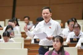 Đại biểu Quốc hội: 'Thao túng bất động sản nguy hiểm như thao túng thị trường chứng khoán'