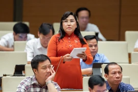 ĐBQH: Không phải cứ tổ chức nhiều cuộc giám sát, làm việc là đem lại hiệu quả