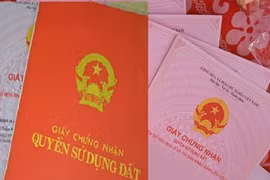 Sổ hồng cấp cho đất hộ gia đình sẽ ghi tên tất cả thành viên?